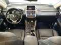 Lexus NX 300 300h Executive 4WD Tecno + Navibox Beige - thumbnail 24