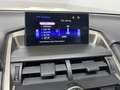 Lexus NX 300 300h Executive 4WD Tecno + Navibox Beige - thumbnail 27