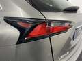 Lexus NX 300 300h Executive 4WD Tecno + Navibox Beżowy - thumbnail 9