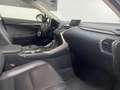 Lexus NX 300 300h Executive 4WD Tecno + Navibox Beige - thumbnail 16