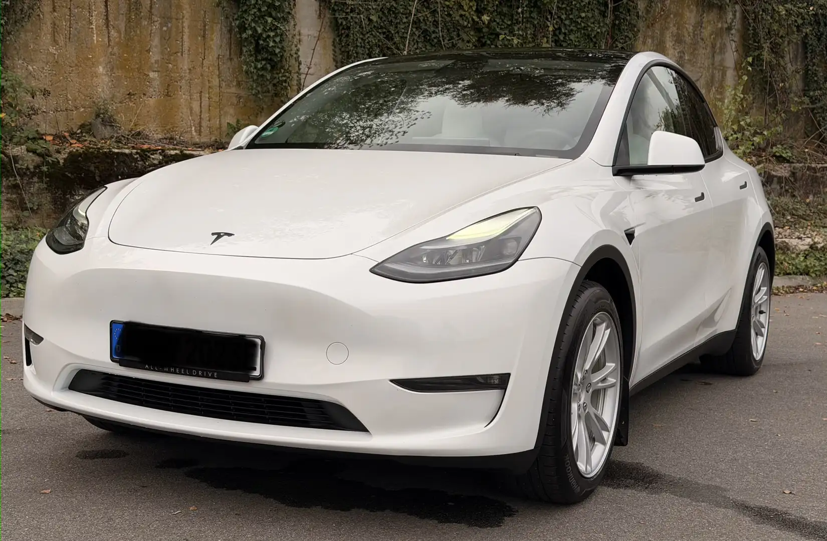 Tesla Model Y Tesla Model Y LR AWD - 514 PS - Boost 4,0s - AHK - 2