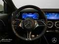 Mercedes-Benz EQA 250 PROG+ADVANCED+KAMERA+MEMORY+SPUR Blanc - thumbnail 14