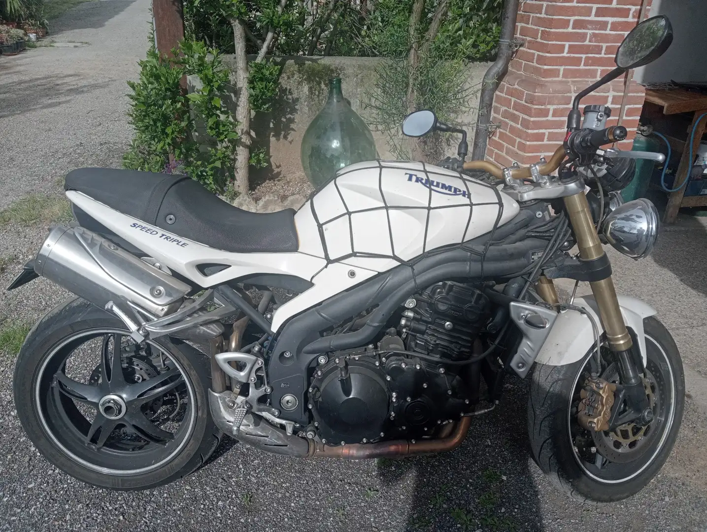 Triumph Speed Triple 1050 Biały - 2