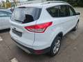 Ford Kuga Titanium Sitzheizung Xenon Pdc Weiß - thumbnail 6