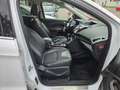 Ford Kuga Titanium Sitzheizung Xenon Pdc Weiß - thumbnail 7