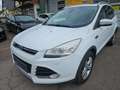 Ford Kuga Titanium Sitzheizung Xenon Pdc Weiß - thumbnail 3