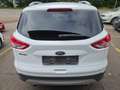 Ford Kuga Titanium Sitzheizung Xenon Pdc Weiß - thumbnail 5