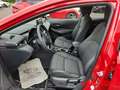 Toyota Corolla 1,8l Hybrid Team D Technik-Paket Rouge - thumbnail 10