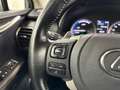 Lexus NX 300h Privilege Line Сірий - thumbnail 26