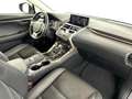 Lexus NX 300h Privilege Line Gris - thumbnail 8