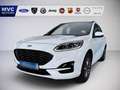 Ford Kuga 2,5 Duratec PHEV ST-Line X Aut. Weiß - thumbnail 1