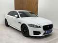 Jaguar XF 3.0 D V6 Sport NAVI/MERIDIAN/XEN/KAM/SHZ/LMF Blanco - thumbnail 1