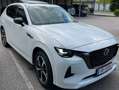 Mazda CX-60 3.3L e-SKYACTIV D AWD EXC-LINE Aut. Exclusive-Line Weiß - thumbnail 6