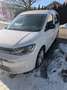 Volkswagen Caddy Caddy Maxi 2,0 TDI Life AHK LED Weiß - thumbnail 2