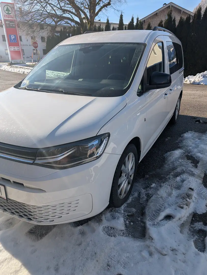 Volkswagen Caddy Caddy Maxi 2,0 TDI Life AHK LED Weiß - 2