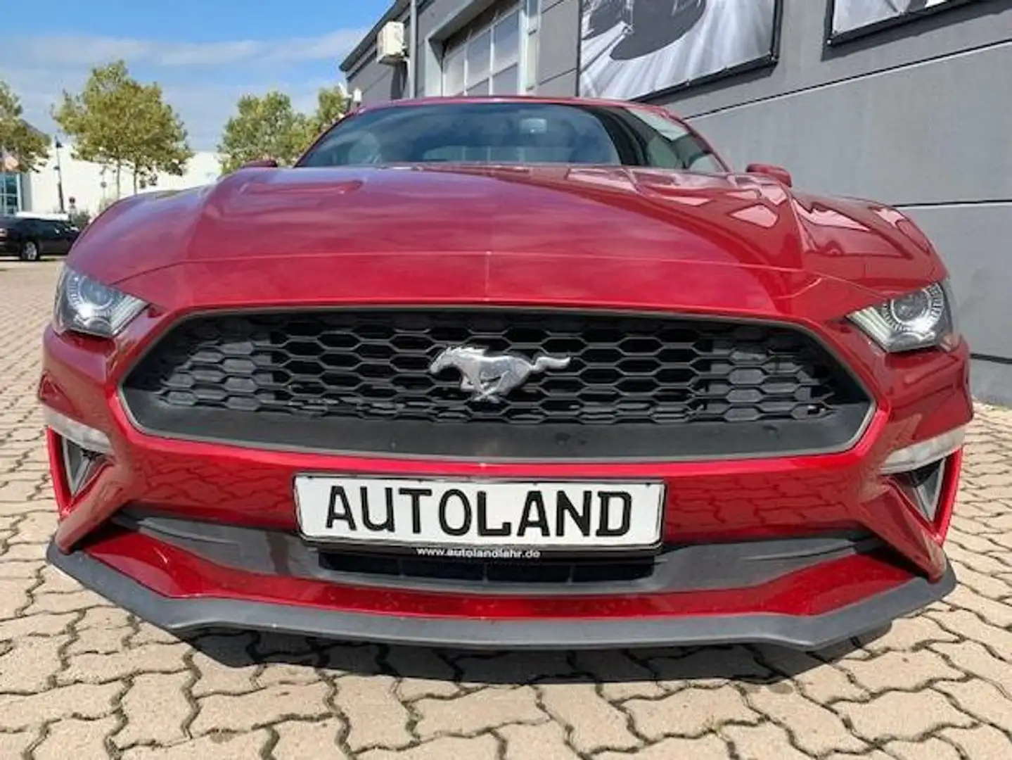 Ford Mustang Premium 2.3 Leder Facelift Unfallfrei CARFAX Rojo - 2