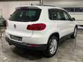 Volkswagen Tiguan 1.4 TSI Life BMT / Autom. Pano Kamera AHK Weiß - thumbnail 4