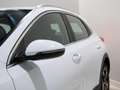 Kia XCeed 1.6 GDi PHEV 104kW (141CV) eDrive Blanco - thumbnail 4