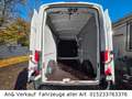 Ford Transit Kasten 350 L3 Trend Weiß - thumbnail 14