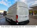 Ford Transit Kasten 350 L3 Trend Weiß - thumbnail 6