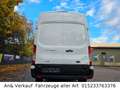 Ford Transit Kasten 350 L3 Trend Weiß - thumbnail 5