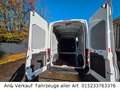 Ford Transit Kasten 350 L3 Trend Weiß - thumbnail 28