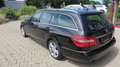 Mercedes-Benz E 200 T-Modell E 200 CGI Avantgarde AHK Navi Nero - thumbnail 6