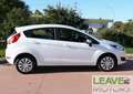 Ford Fiesta 1.4 5 porte GPL (M1419) Weiß - thumbnail 4