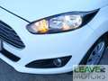 Ford Fiesta 1.4 5 porte GPL (M1419) Weiß - thumbnail 25