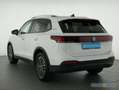 Volkswagen Tiguan Goal 1.5 eTSI DSG Navi AHK AreaView el.Klappe Blanco - thumbnail 13