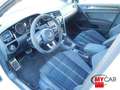 Volkswagen Golf GTI Golf GTI Clubsport 2.0 TSI 265cv DSG 5pt BMT Bianco - thumbnail 7
