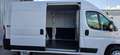 Fiat Ducato 2.3 Multijet 150 L1 H2 - thumbnail 6
