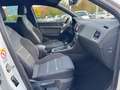 SEAT Ateca Xperience 1.5 TSI ACC*RFK*SHZ*AppConnect*K Weiß - thumbnail 13