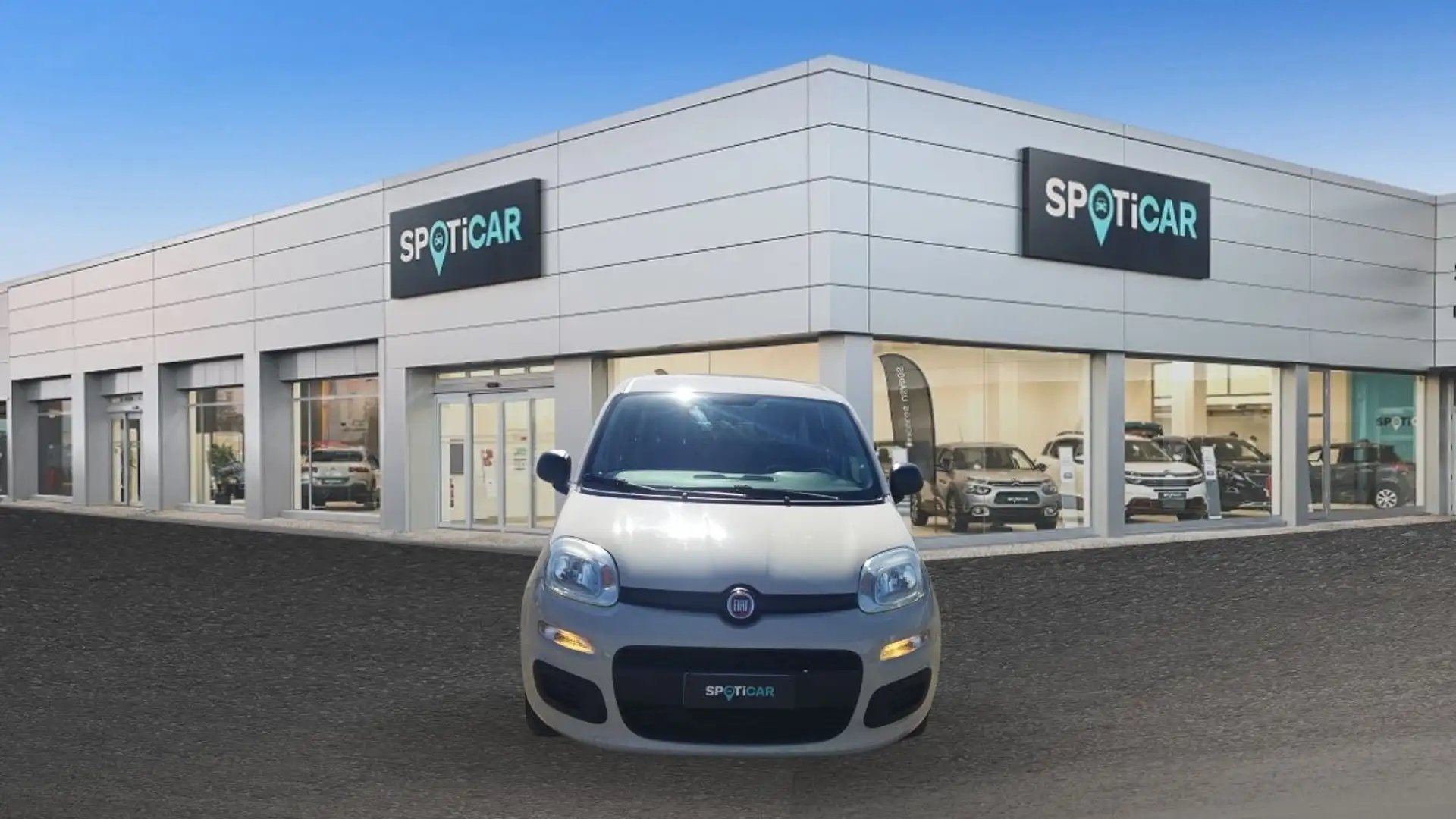 Fiat Panda 1.3 Multijet Easy Beige - 2