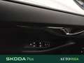 Skoda Kamiq 1.0 tsi ambition 110cv Blu/Azzurro - thumbnail 14