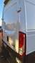 Iveco Daily 35 C 14NA8 SV L teilverglast Wit - thumbnail 6