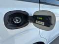 Ford Galaxy 2.0TDCi Trend 140 Blanc - thumbnail 39