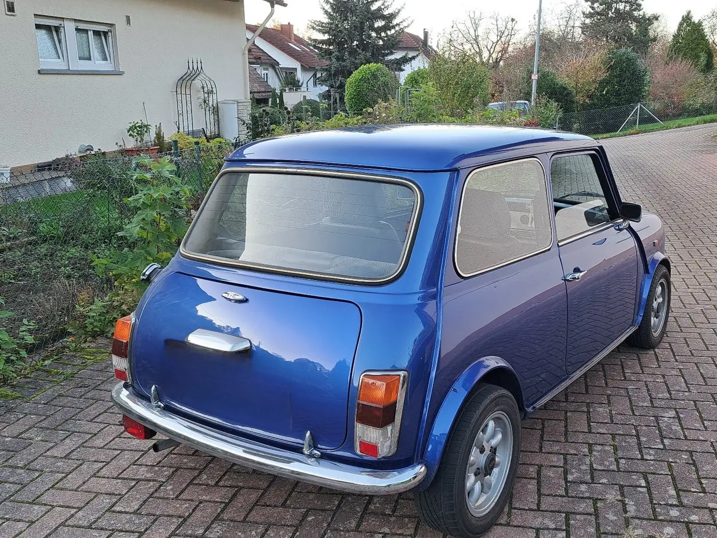 MINI 1000 Albastru - 2