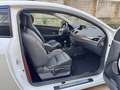 Renault Megane RS 265cv my14 (LEGGERE ANNUNCIO) - thumbnail 13