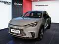 Lexus LBX LBX B-SUV Basis 1.5 TNGA HEV H  (116 hp) stufenlos Grau - thumbnail 1