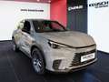 Lexus LBX LBX B-SUV Basis 1.5 TNGA HEV H  (116 hp) stufenlos Grau - thumbnail 12