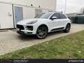 Porsche Macan 2.0 pdk Wit - thumbnail 1