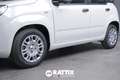 Fiat Panda 1.0 Firefly Hybrid 70CV 5p.ti + Pack City Blanc - thumbnail 4