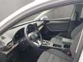 SEAT Leon Sportstourer 2.0 TDI Xcellence Allwetterrei Weiß - thumbnail 9