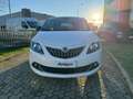 Lancia Ypsilon Ypsilon 2021 1.0 firefly hybrid Silver Wit - thumbnail 8