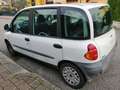 Fiat Multipla Multipla 1.6 16v SX bipower Weiß - thumbnail 4