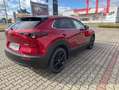 Mazda CX-30 2.5L e-SKYACTIV G 140ps Rot - thumbnail 3