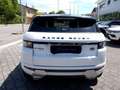 Land Rover Range Rover Evoque 2.2 Sd4 5p. Dynamic Bianco - thumbnail 6