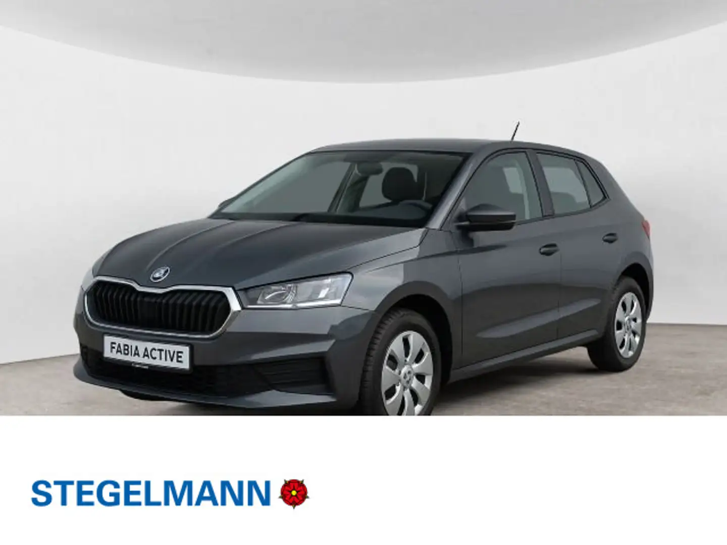 Skoda Fabia 1.0 MPI Active Grau - 1