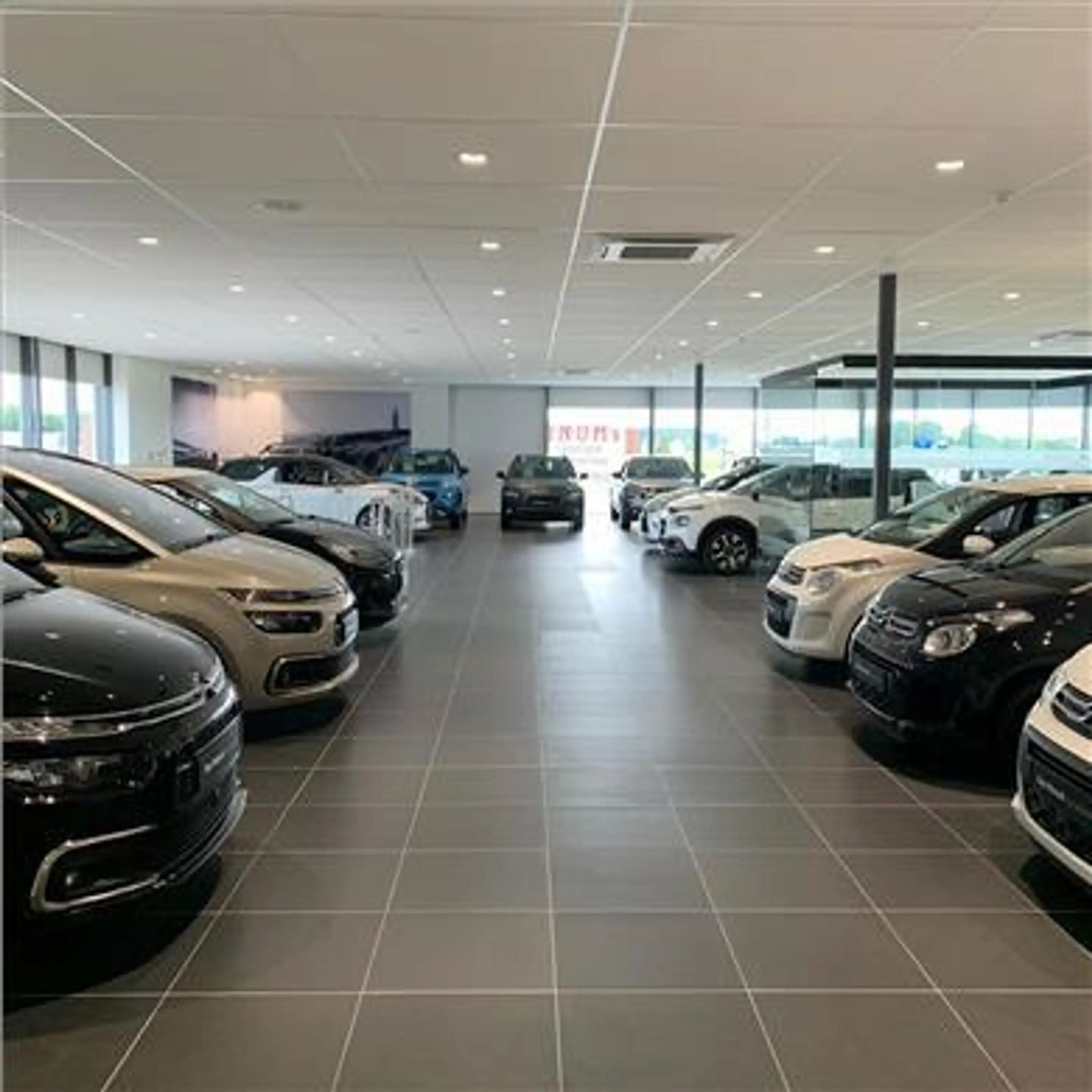 Citroen C3 1.2 Hybrid 110pk Collection — photo 4